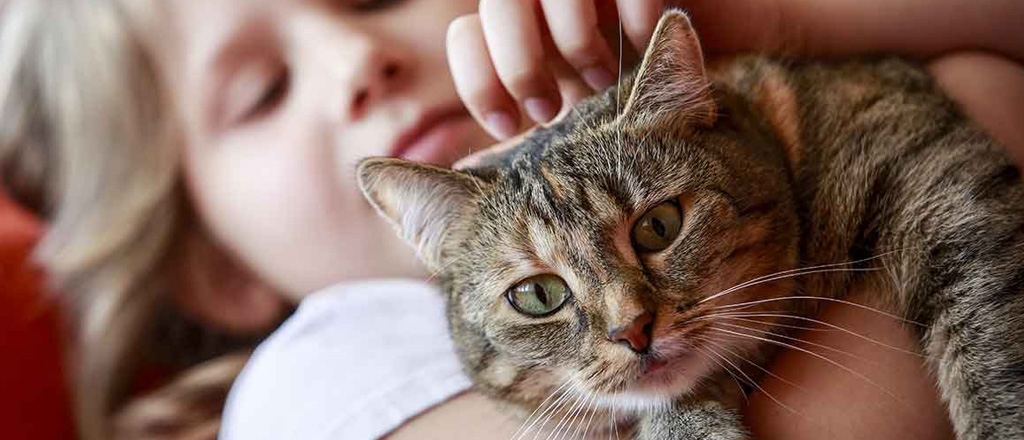 Gatto adottato casa con bambini