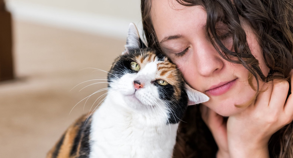 Un gatto si strofina con la sua padrona