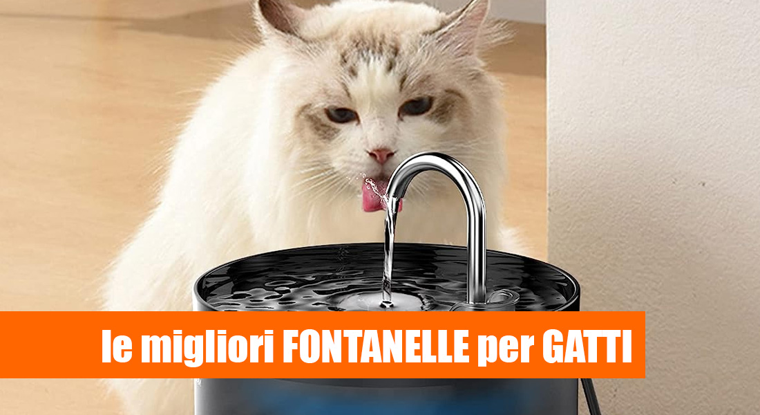 PETEMPO 5L Distributore Automatico Cibo Gatti, Dispenser Crocchette Gatto,  Mangiatoia Automatica per Gatti e Cani con