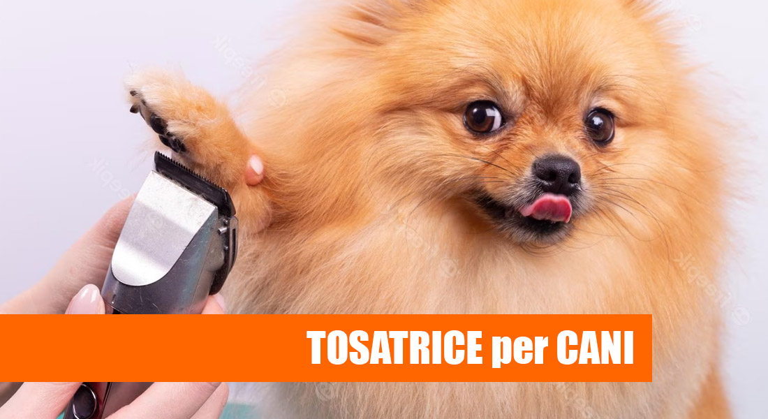 oneisall Tosatrice per Cani Professionale rumore basso Rasoio per cani  Toelettatura Cani Gatti Animali Tosatore : : Prodotti per animali  domestici