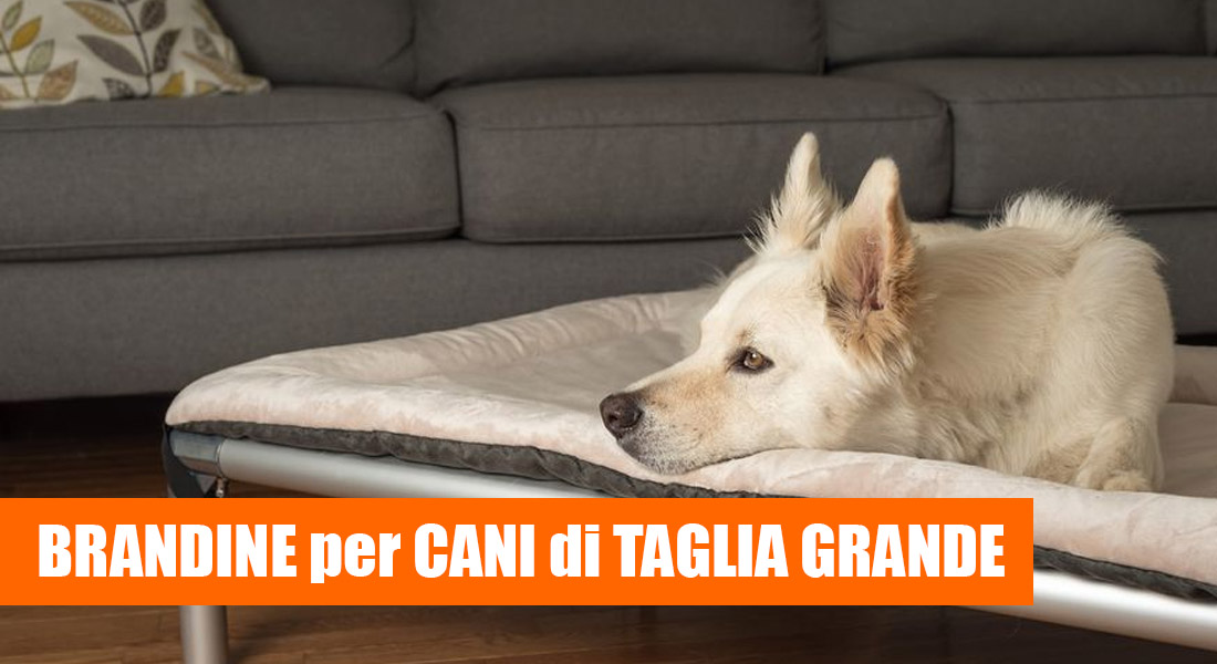 Migliore Brandina per cane taglia grande da Acquistare [Analisi