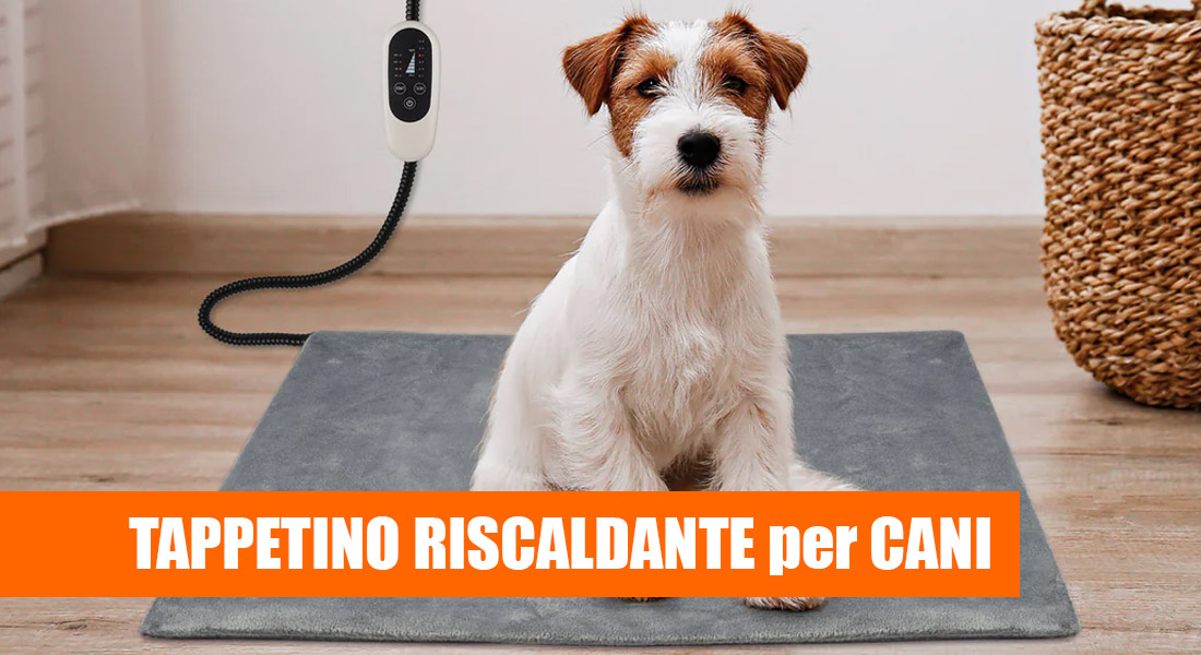 Miglior Tappetino riscaldante cane: Analisi TOP10 con Guida all'Acquisto