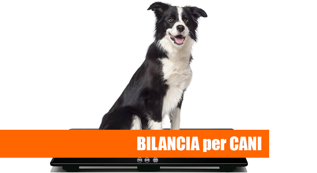 Migliore Bilancia per cani [Prezzi, Voti e Recensioni]