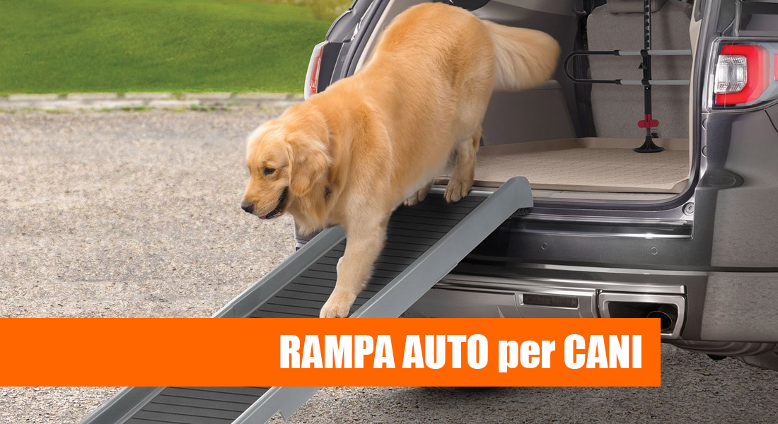 Guida all'Acquisto della Migliore Rampa auto per cani