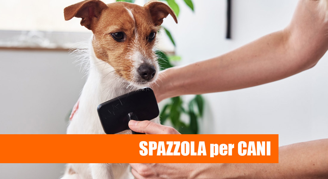 Vinabo Spazzola per Cani e Gatti,Autopulente per Cane Pelo Lungo