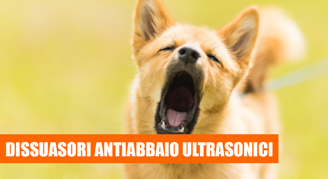 Migliori Dissuasori ultrasonici antiabbaio [Recensioni con Prezzi]