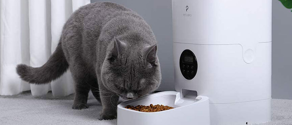 distributore automatico cibo gatto